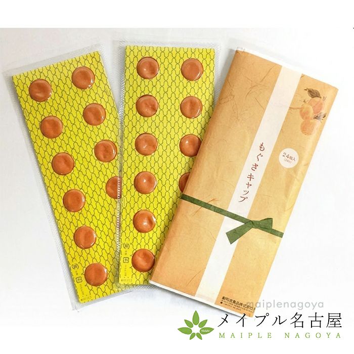 ホットブルーン用　ビワもぐさ　【24枚】