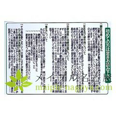 3D足のリフレクソロジーチャート ポスターサイズ 55×36.5cmの