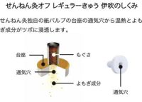 せんねん灸伊吹（レギュラー）　８０点入り（しくみ）