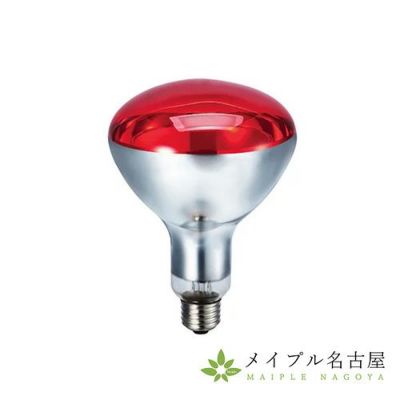 257-68-03-01 赤外線ランプ100V 185W 1個 ケツト科学研究所