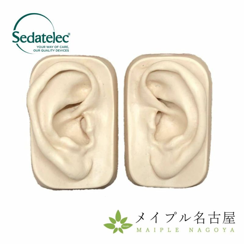 シリコン耳模型