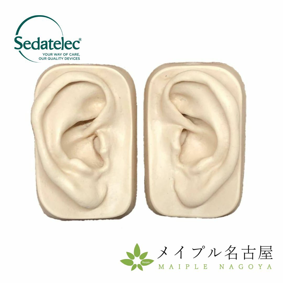 シリコン耳模型