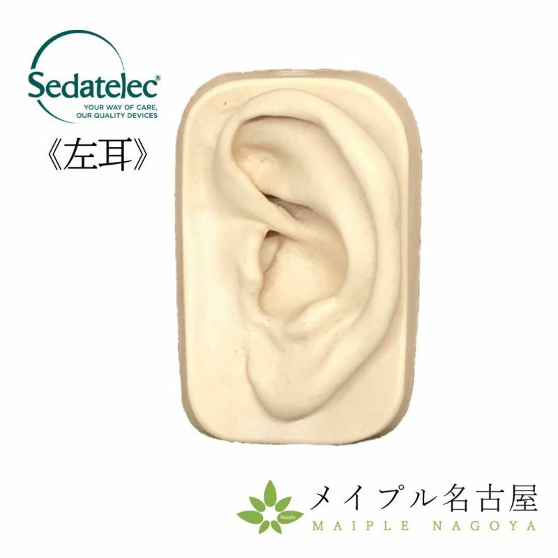 シリコン耳模型_左