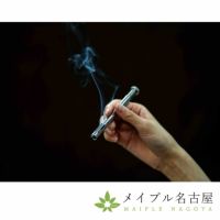 タイガーウォーマー