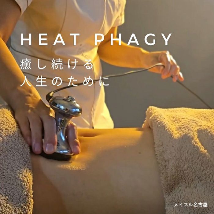 ヒートファジー使用例