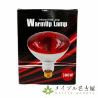 赤球ランプ　WarmUp Lamp　300Ｗ