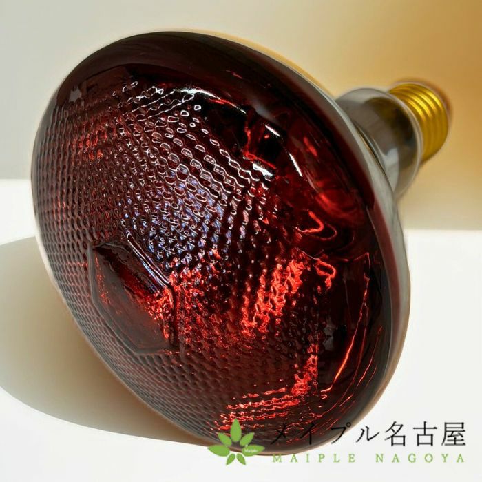 赤球ランプ　WarmUp Lamp　300Ｗ